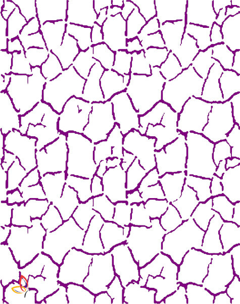 BS 5081