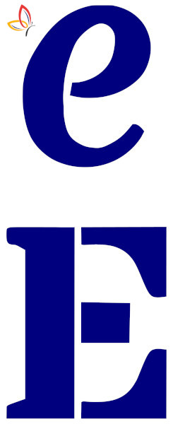 504