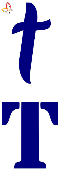 519