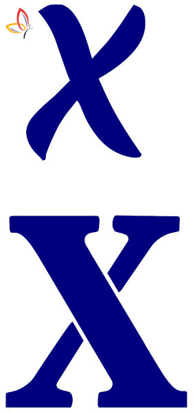 523